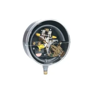 Công tắc áp suất dạng ống Bourdon Series DA_DS